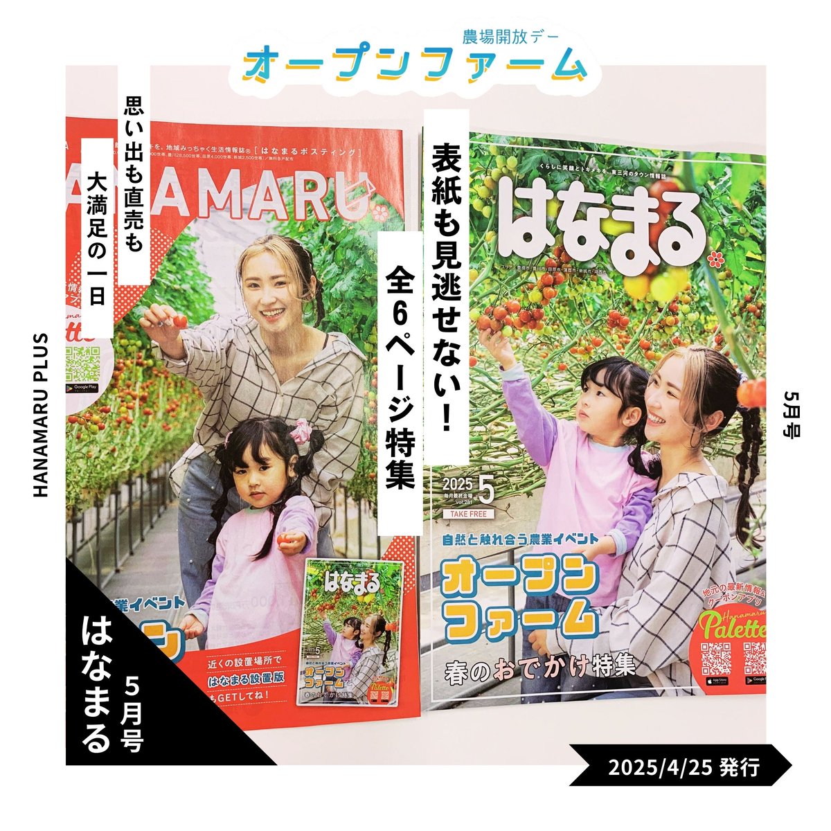 openfarm_jp's tweet photo. はなまるに、オープンファームが特集🍅
表紙＋見開き6ページ✨

誌面では、イベントの楽しみ方はもちろん、参加農園の紹介、過去開催の様子、来場者のリアルな声までたっぷり掲載🌽

日程｜2025年6月1日（日）10～16時
場所｜各農場
後援｜東海農政局、愛知県、豊橋市、豊川市、田原市、湖西市、岡崎市 https://t.co/5APgE5vDWK