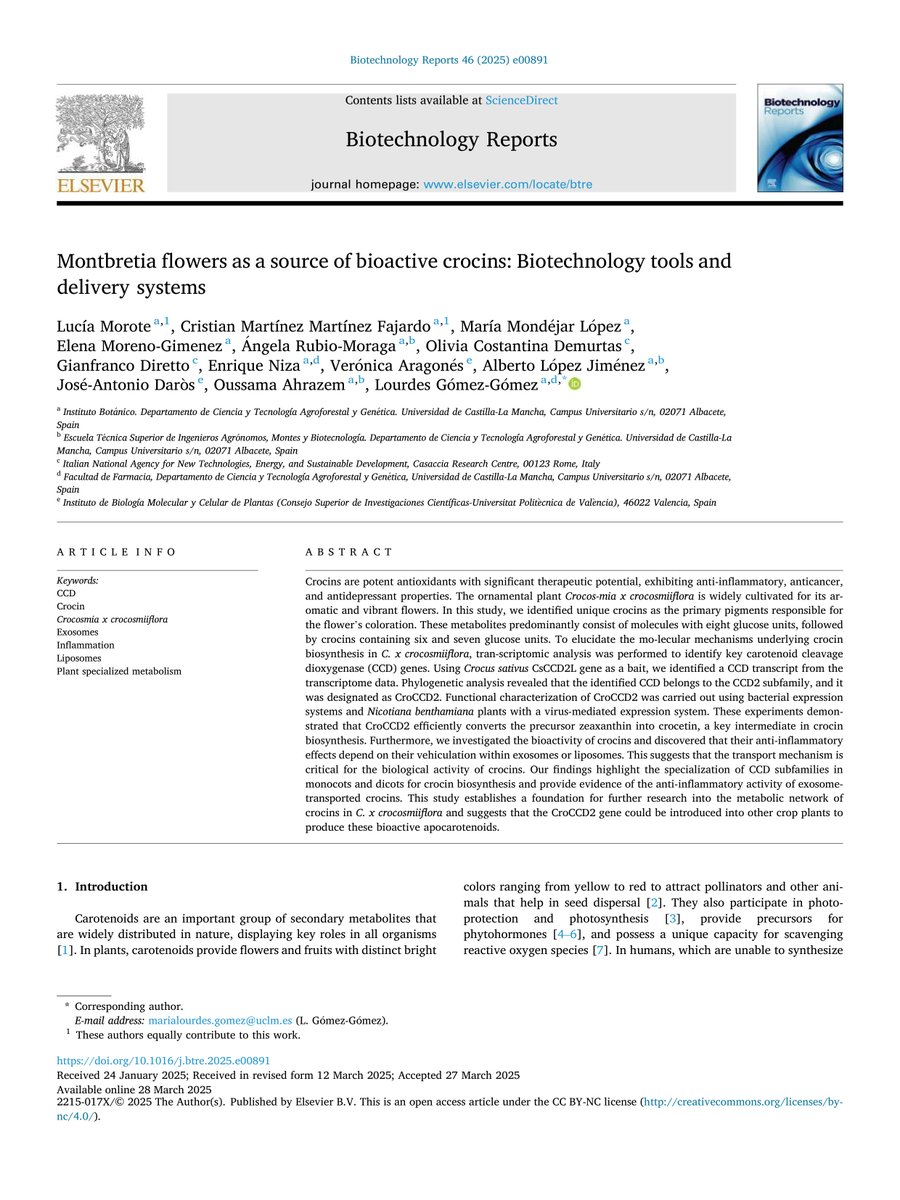 IBMCP - Instituto de Biología Molecular y Celular (@ibmcp) on Twitter photo 📄 Montbretia flowers as a source of bioactive crocins: Biotechnology tools and delivery systems
<a href="/ja_daros/">José-Antonio Daròs</a>
🔗f.mtr.cool/orhdlzdcqh 📄 Montbretia flowers as a source of bioactive crocins: Biotechnology tools and delivery systems
<a href="/ja_daros/">José-Antonio Daròs</a>
🔗f.mtr.cool/orhdlzdcqh
