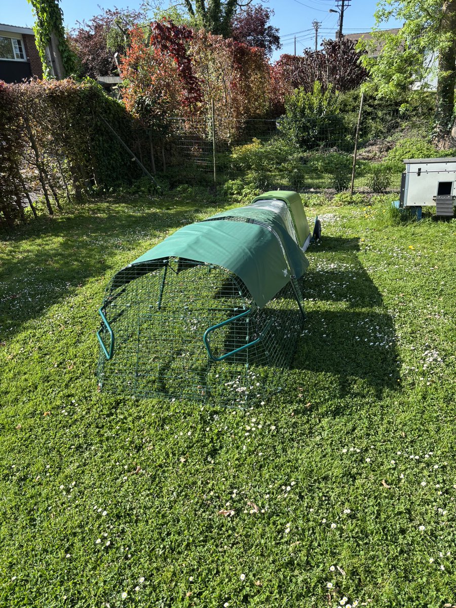We found in second hand a full omlet park for the piggies when the sun is shining 😎😎🥳