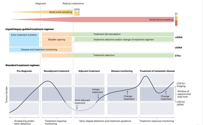 Enrique Grande (@drenriquegrande) on Twitter photo ⚡️ In <a href="/NatRevUrol/">Nature Reviews Urology</a> - Circulating tumour DNA and circulating tumour cells in bladder cancer — from discovery to clinical implementation
#BladderCancer <a href="/MattGalsky/">Matt Galsky</a> <a href="/tompowles1/">Tom Powles</a> <a href="/LDyrskjot/">Lars Dyrskjøt</a>
nature.com/articles/s4158… ⚡️ In <a href="/NatRevUrol/">Nature Reviews Urology</a> - Circulating tumour DNA and circulating tumour cells in bladder cancer — from discovery to clinical implementation
#BladderCancer <a href="/MattGalsky/">Matt Galsky</a> <a href="/tompowles1/">Tom Powles</a> <a href="/LDyrskjot/">Lars Dyrskjøt</a>
nature.com/articles/s4158…