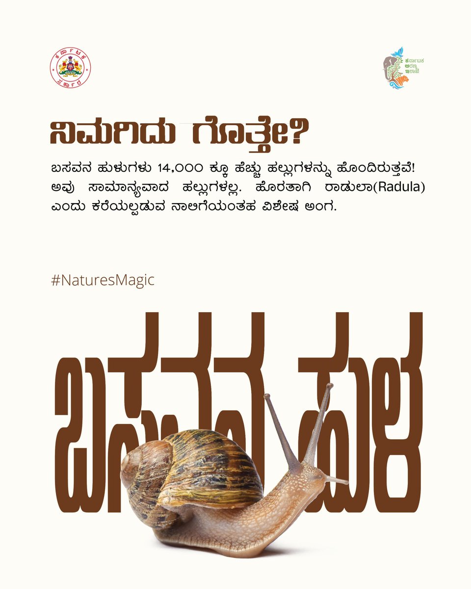 aranya_kfd's tweet photo. ಬಸವನ ಹುಳುಗಳಿಗೆ ಎಷ್ಟು ಹಲ್ಲುಗಳಿದವೆ ಎಂದು ನಿಮಗೆ ತಿಳಿದಿದೆಯೇ? ತಿಳಿಯಲು ಓದಿರಿ.
Did you know how many teeth does a Snail have? Read to know more.
#snail #kfdfunfact #kfdfunfactseries #snailteeth #ecology #balance #nature https://t.co/kxQt9SkyOo