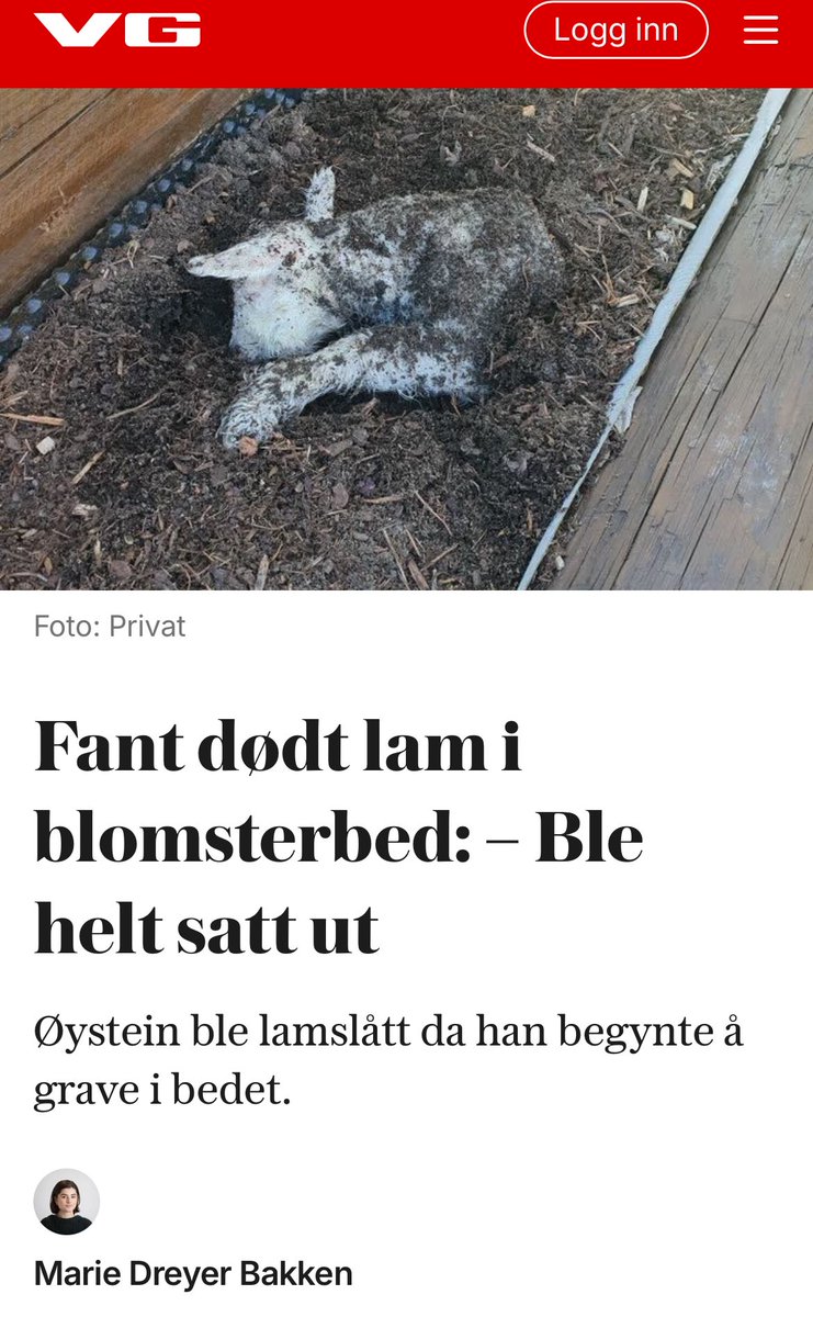«Et halvt, dødt lam funnet i et blomsterbedd sier du? I denne saken tror jeg drar til med et ordspill»