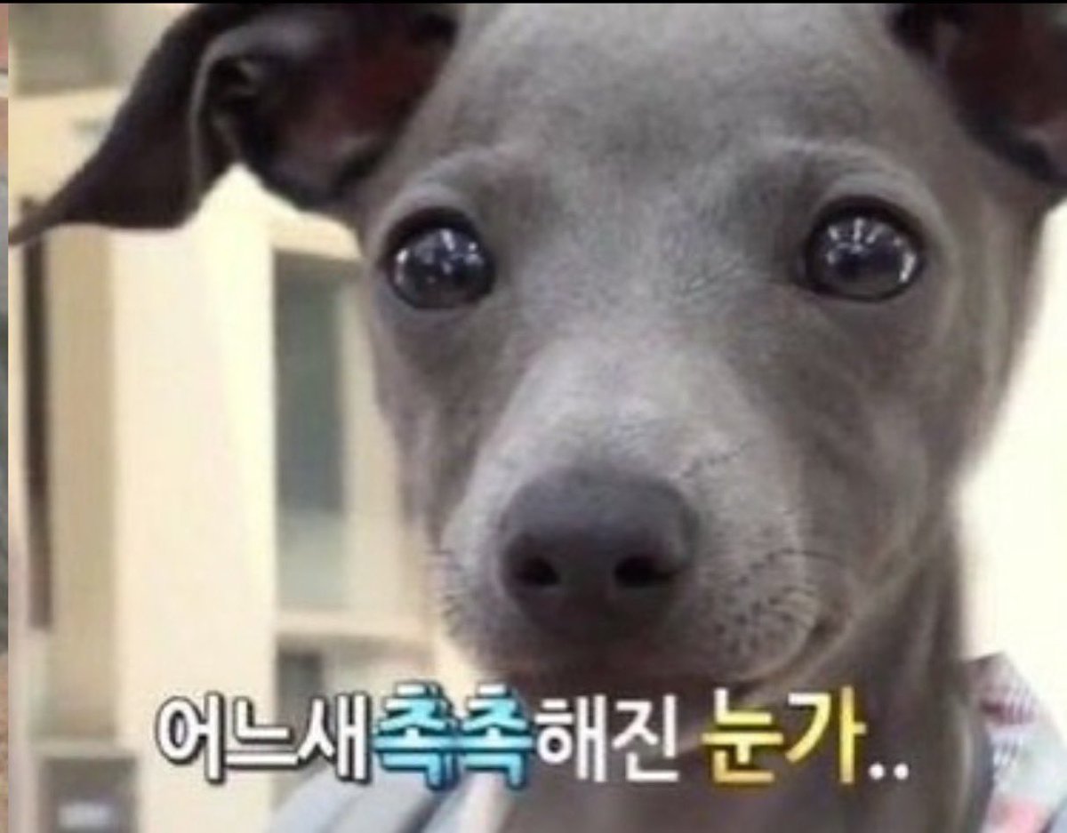 아니 진짜로 뇌가 어떻게 막 된거 아님?