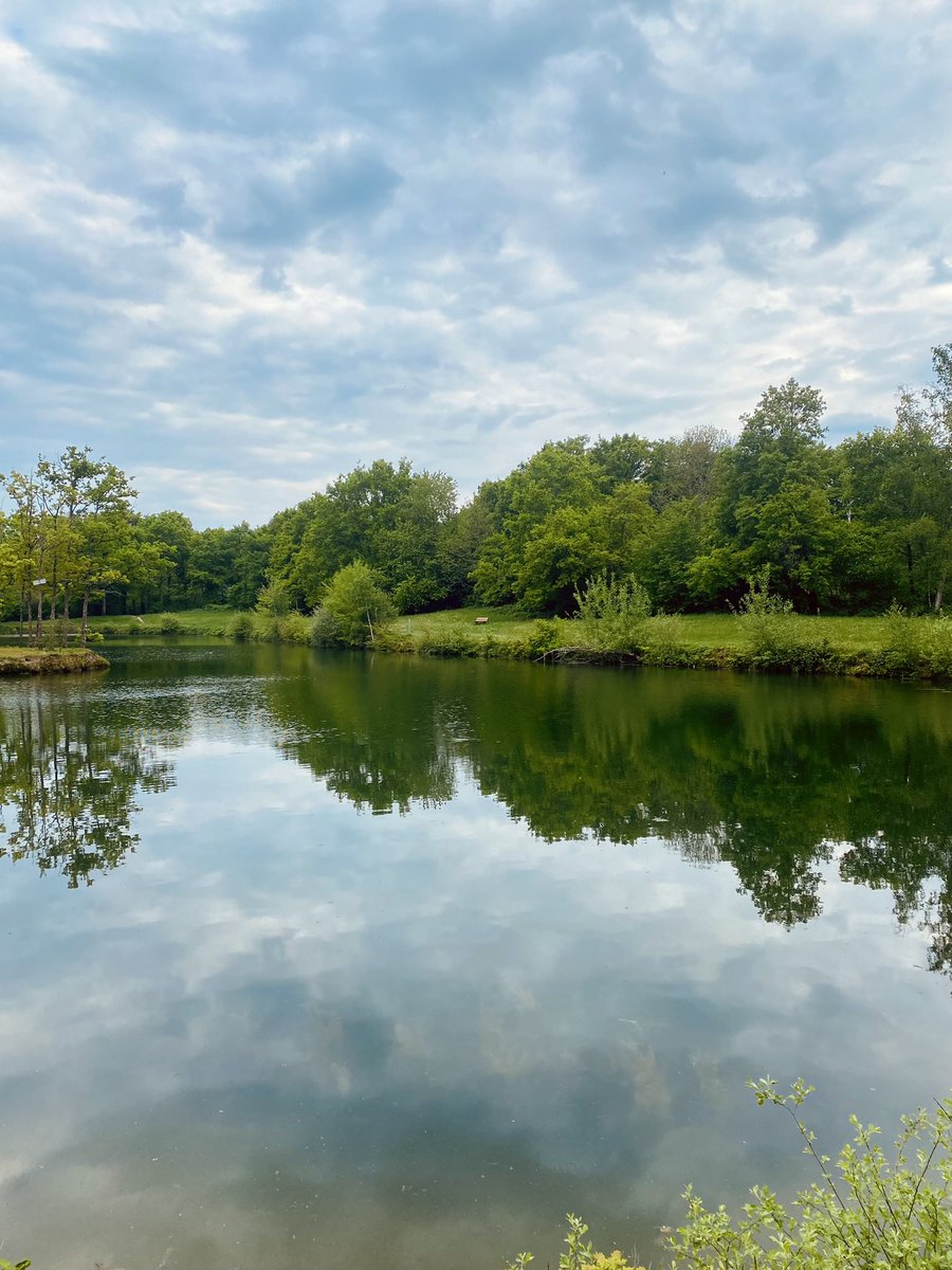 ceseph's tweet photo. Les Grands Billons 🌳🌳🌳 #photo #photography #Donnery #Loiret https://t.co/YcN1nzMhdX