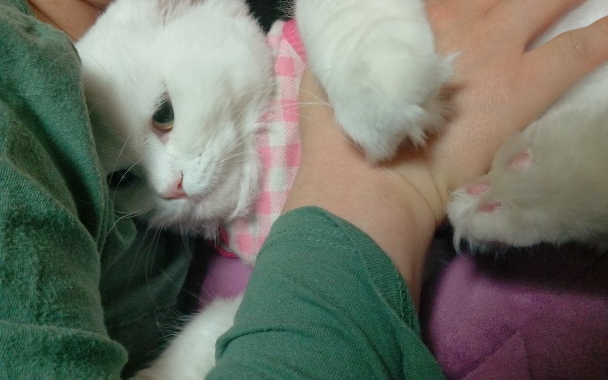 SPI (@spidraw) on Twitter photo 