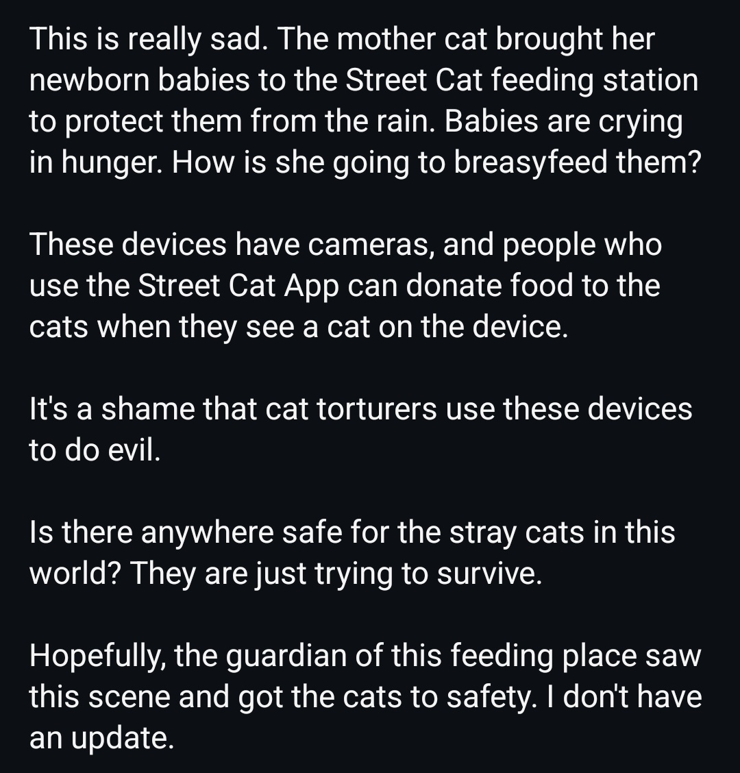 WeAreNotFood's tweet photo. Somewhere in China
#verysad #catslivesmatter #stopanimalabuse #catabuse #animalcruelty #helpingcats #help #rescue #TNR #careforstrayanimals https://t.co/sY5x0XmsAQ