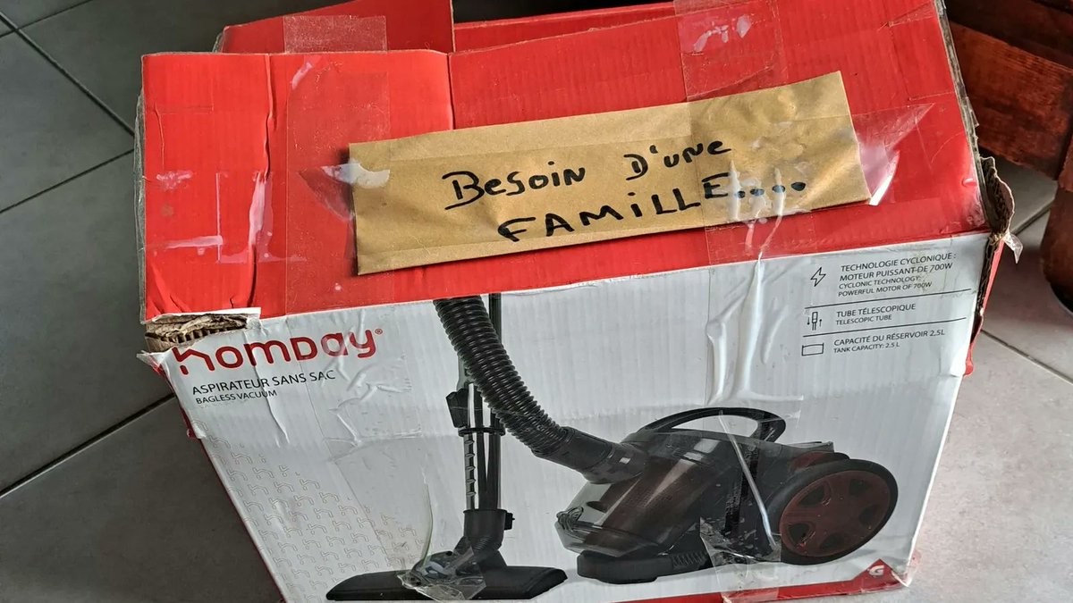 "Le carton de la honte": colère d'une ONG face à l'abandon d'un paquet avec trois chatons dans une forêt😡 Un promeneur a fait une découverte surprenante en bordure de forêt à Biscarosse. Il s'agit d'un carton d'aspirateur fermé avec du scotch, contenant trois chatons et des