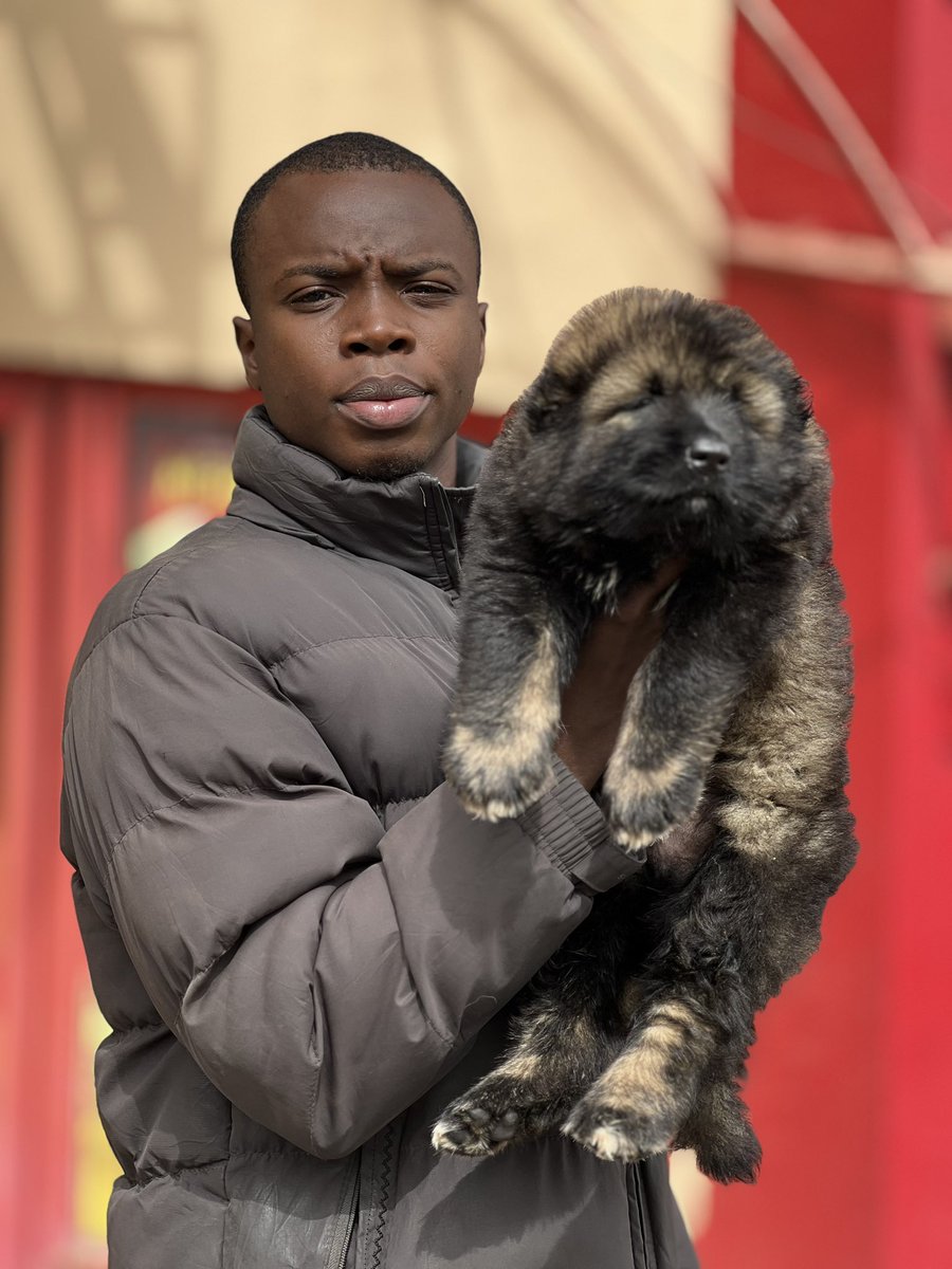 being_ade's tweet photo. Make boys taste that your salary na chairman🌝✅ https://t.co/hsWJmkad0B