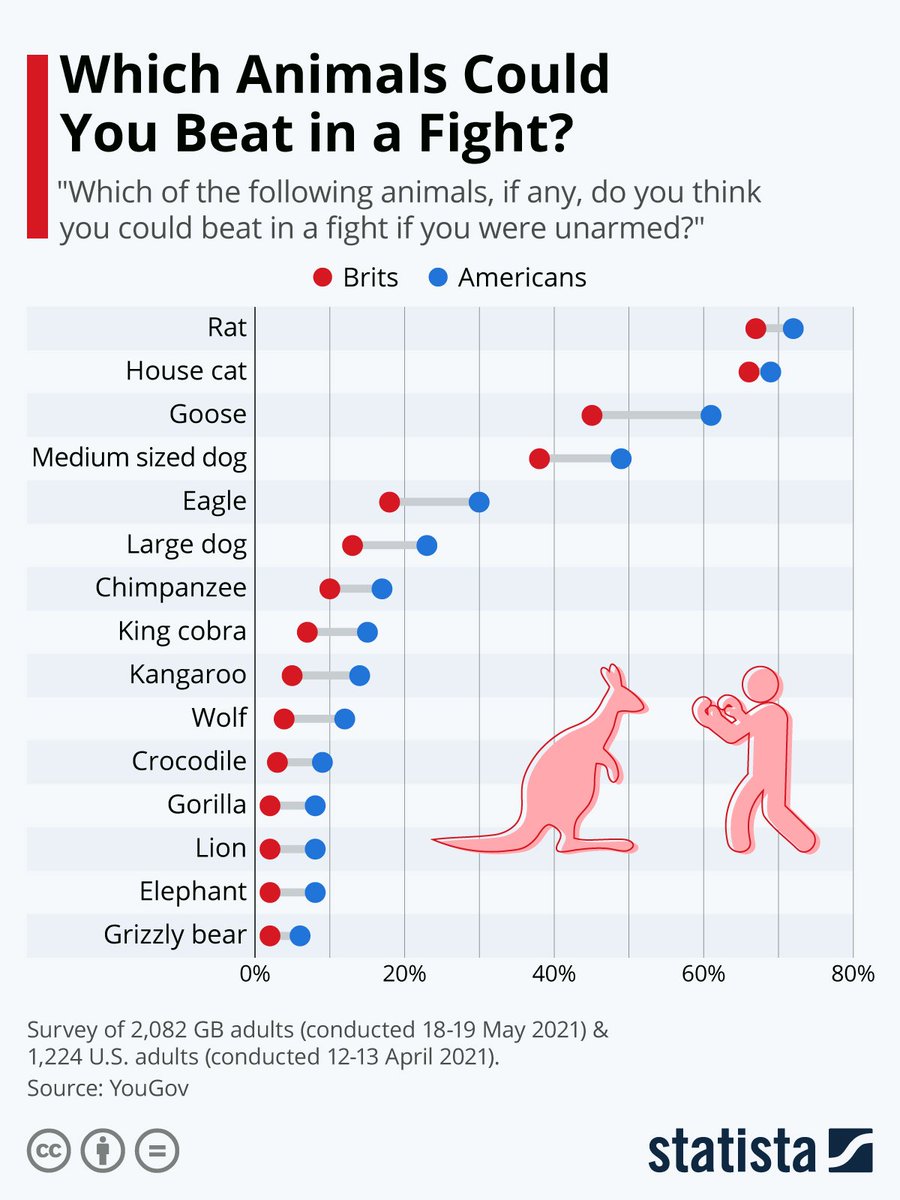 TierZoo tweet media