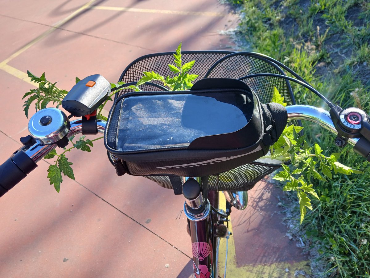 Има едни на инста, инфлуенсерки, ги украсуваат корпите на точаците со вештачко цвеќе, букети што ја знам што....и ме имаш мене со расад од патлиџани and I think its beautiful...