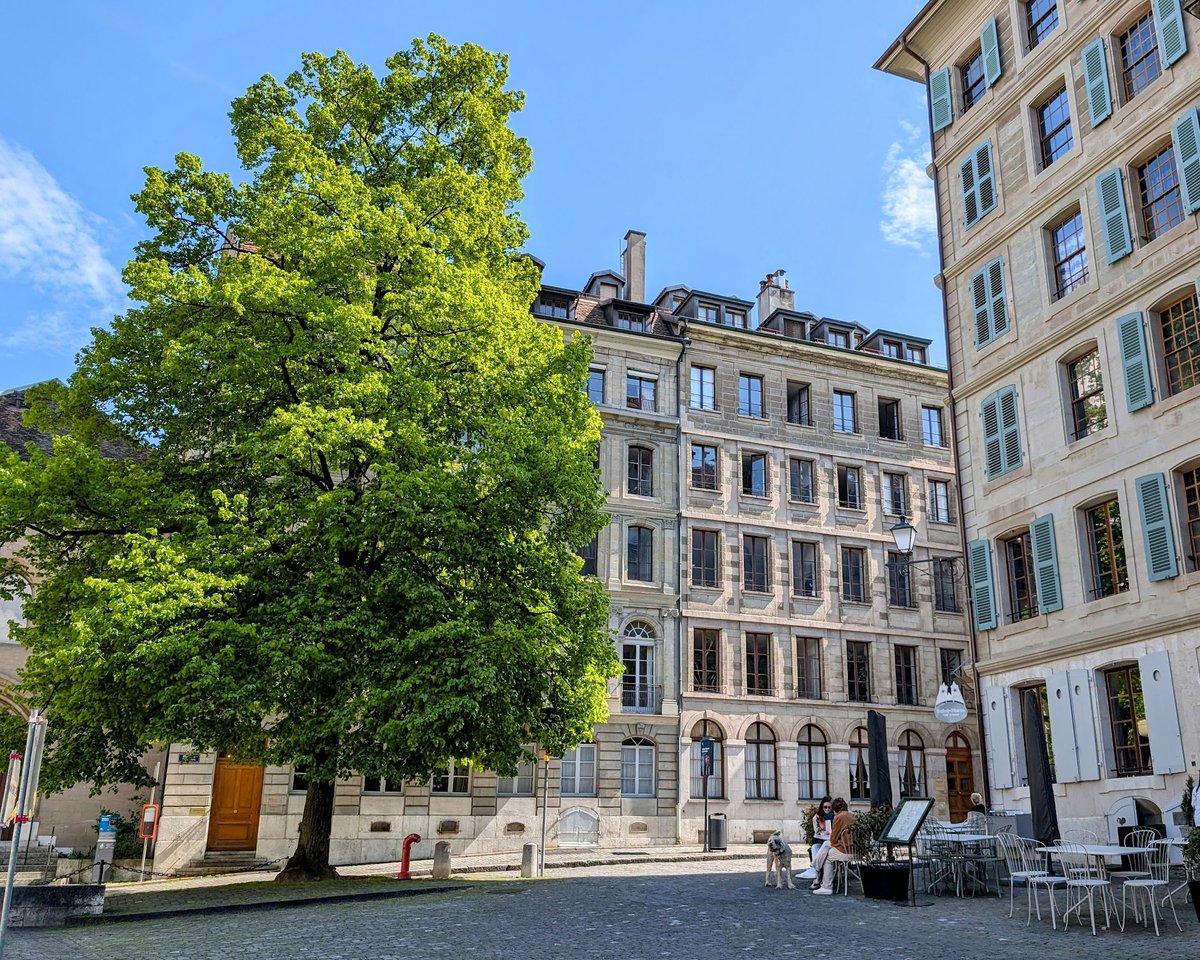 Stack Hodler tweet media