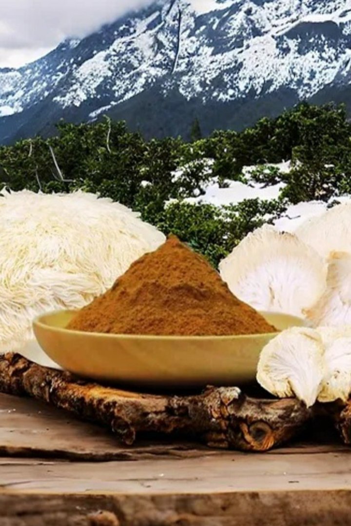 YHS_UK's tweet photo. The preliminary evidence suggests lion's mane mushrooms might help in these ways.
Fighting inflammation and free radicals.
Many health conditions, including heart disease, arthritis, and cancer.
https://t.co/RIT9Huwope https://t.co/21mtENRAgX
