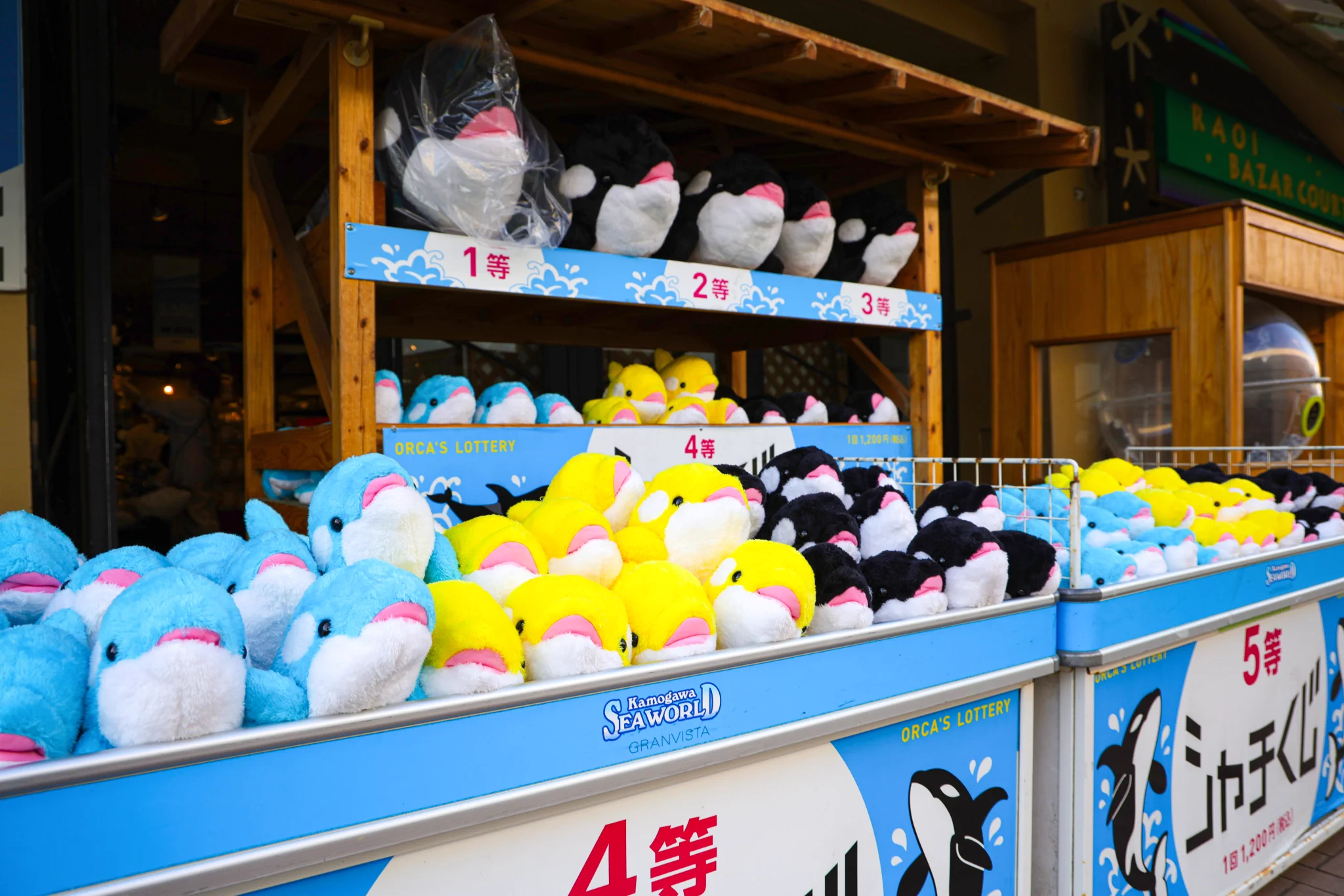 鴨川シーワールド シャチくじ 1等 シャチ ぬいぐるみ 鴨川シーワールド【公式】 on X: 