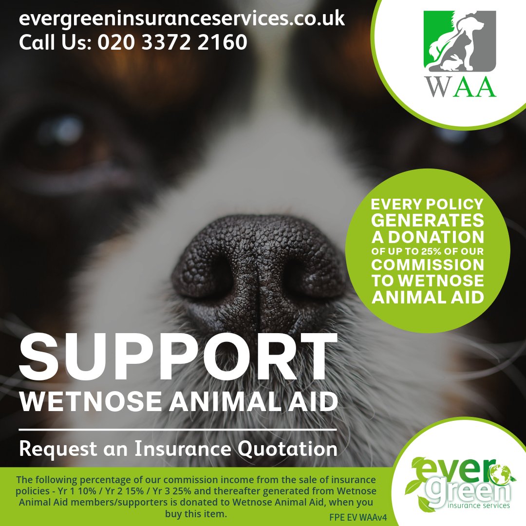 Evergreen Insurance Services (@ethical_ins) on Twitter photo Helping the helpers! 🐾 Every policy supports <a href="/WetnoseDay/">Wetnose Animal Aid</a> ’s work for rescue centres! #RescueSupport #AnimalWelfare #EvergreenAid Helping the helpers! 🐾 Every policy supports <a href="/WetnoseDay/">Wetnose Animal Aid</a> ’s work for rescue centres! #RescueSupport #AnimalWelfare #EvergreenAid