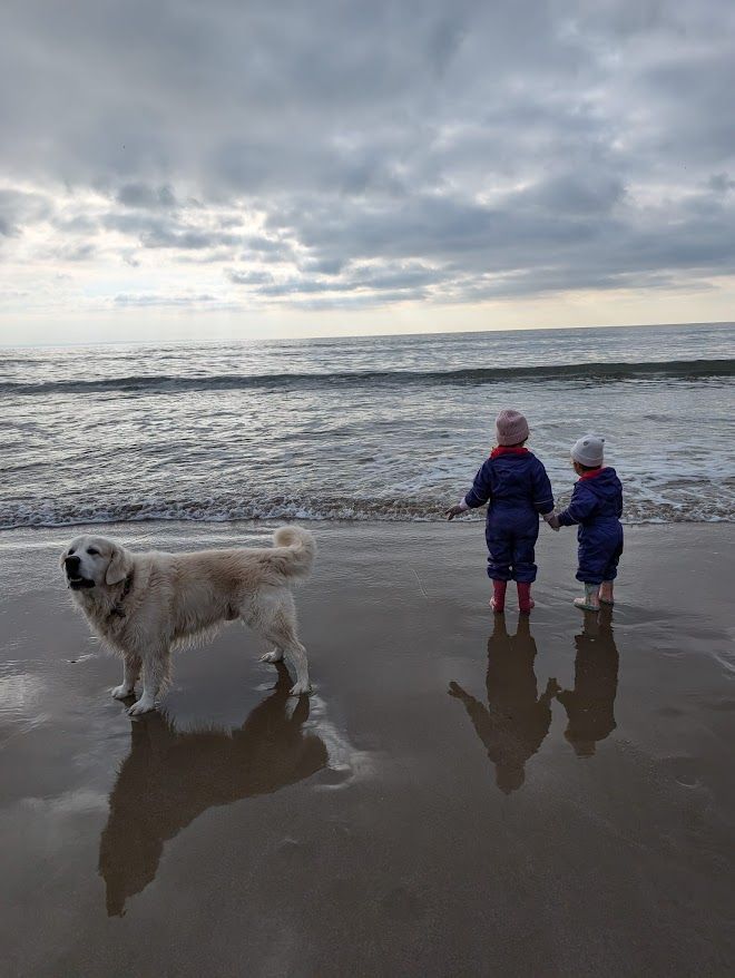 Looking for a family and pet friendly getaway? 👶 🐾 All of our 9 self-caterered cottages are dog friendly and are perfect for family get-aways. Near to our glorious Gower beaches, fun in Mumbles and lots of wet-weather activities in Swansea. Book your stay today!
