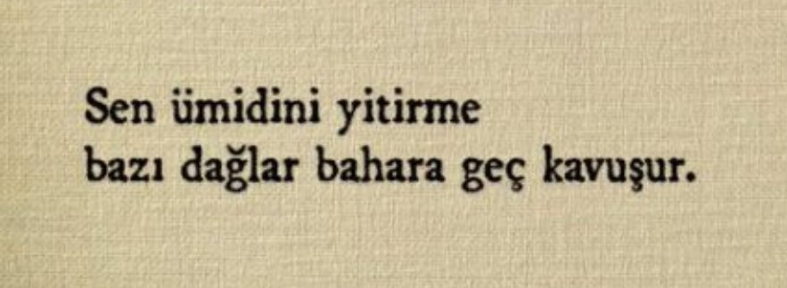ayaserenat's tweet photo. https://t.co/UBLswg4qbM