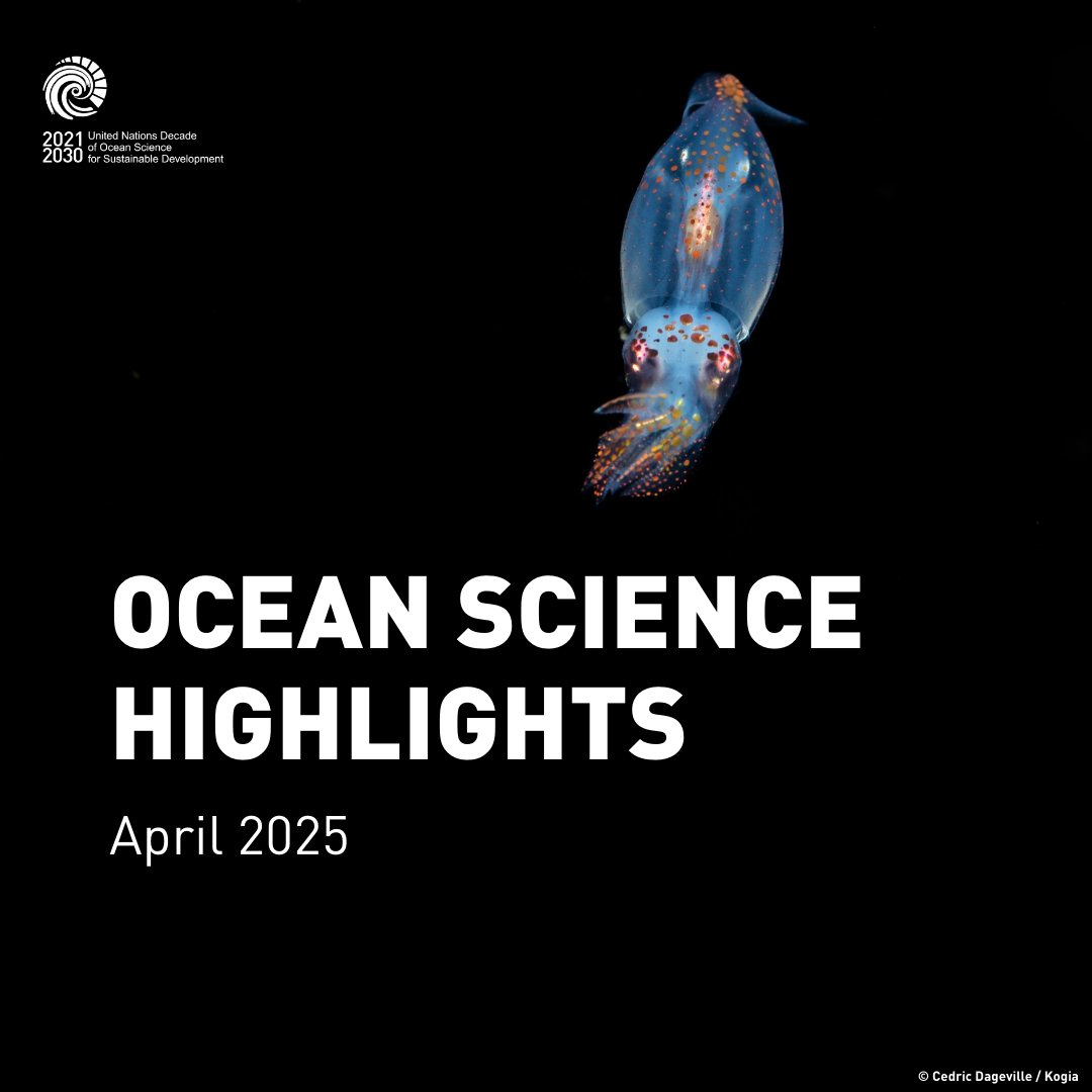 UN Ocean Decade (@unoceandecade) on Twitter photo What's new in #OceanScience?
🪸 Heat-resistant ‘super corals’ in French Polynesia
🇺🇳 A landmark <a href="/UN/">United Nations</a> resolution links human rights and the ocean
🇧🇷 Brazil commits to a national school curriculum on #OceanLiteracy—a world first
Read on: ow.ly/Rgy550VJwCv
#OceanDecade What's new in #OceanScience?
🪸 Heat-resistant ‘super corals’ in French Polynesia
🇺🇳 A landmark <a href="/UN/">United Nations</a> resolution links human rights and the ocean
🇧🇷 Brazil commits to a national school curriculum on #OceanLiteracy—a world first
Read on: ow.ly/Rgy550VJwCv
#OceanDecade