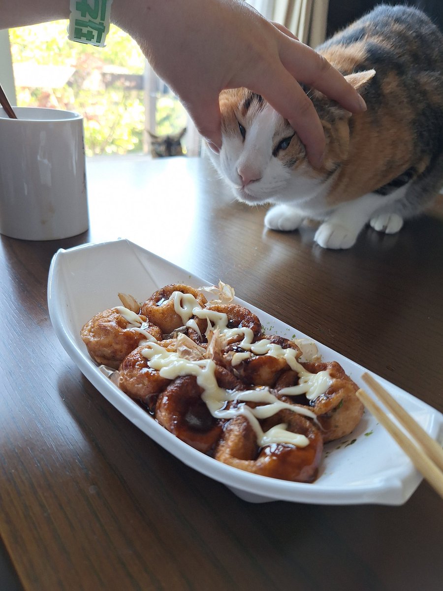 たこ焼きたべました