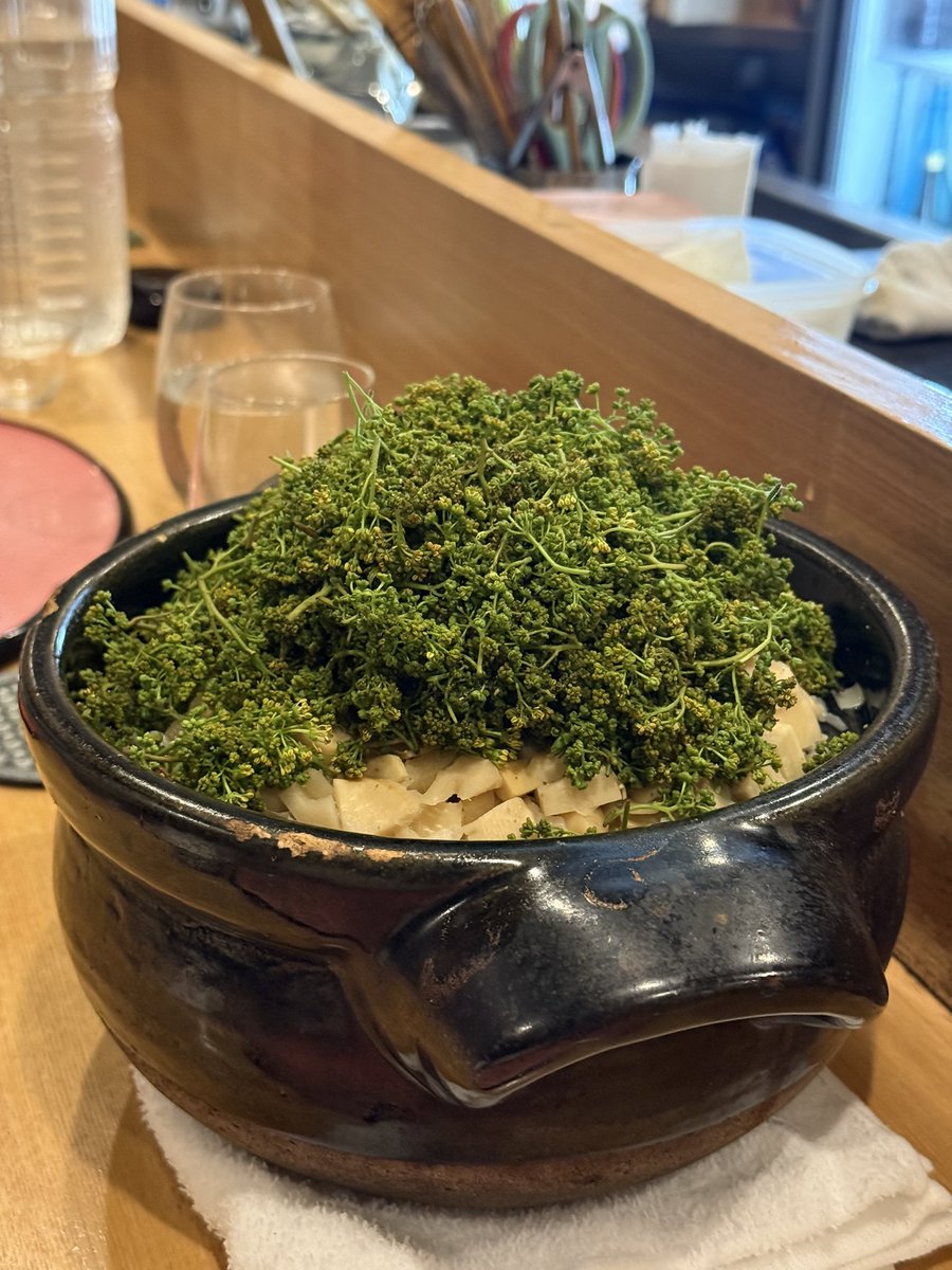 tomopiii____'s tweet photo. 初めてこんなに花山椒食べた....。
珍しい日本酒飲み放題で2万円って破格すぎない...？4月限定のコースだそうで、急げ。
恵比寿の“秀たか” https://t.co/1Fyk7tVJqn