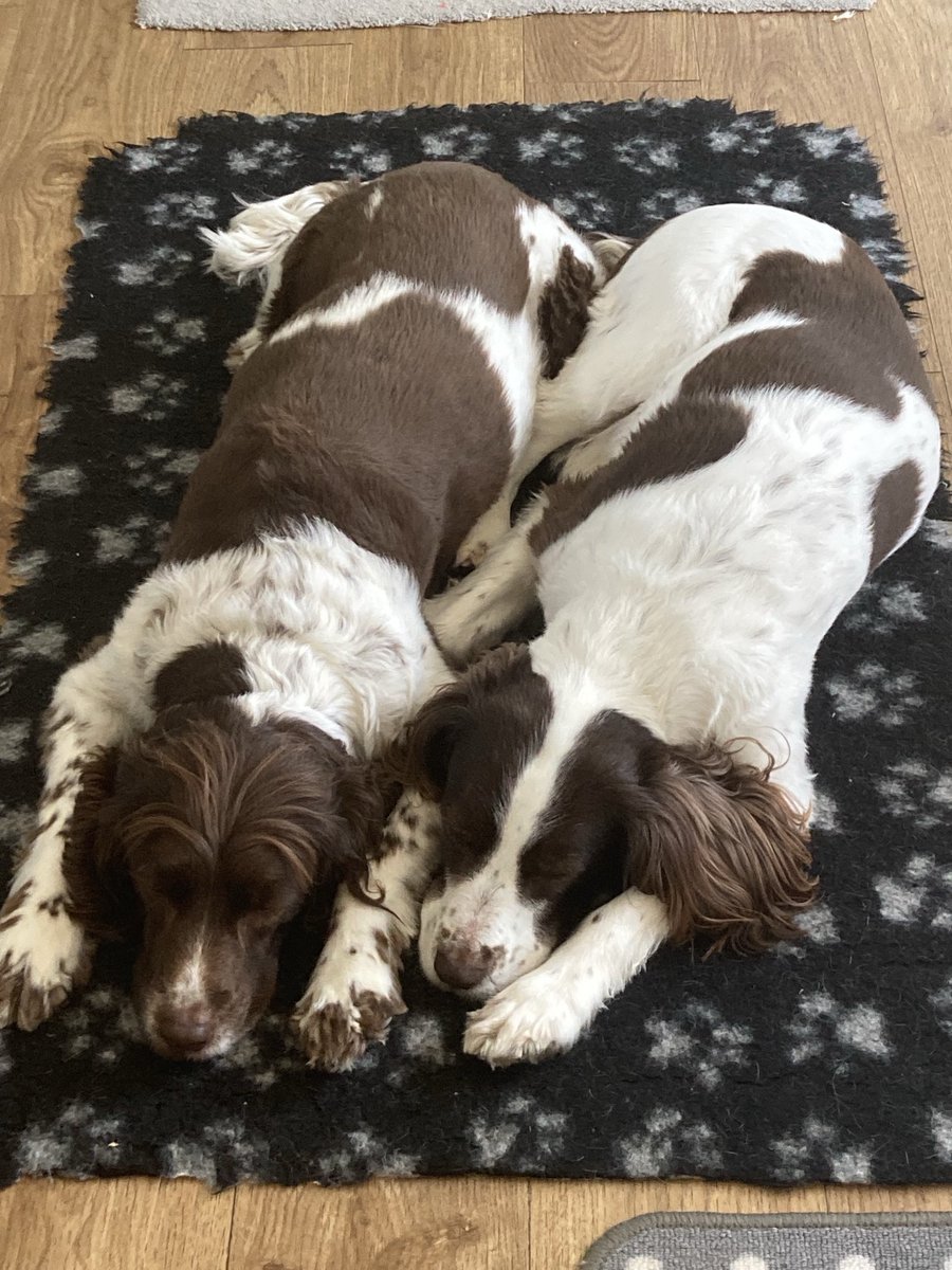 Michelle Greatorex tweet media