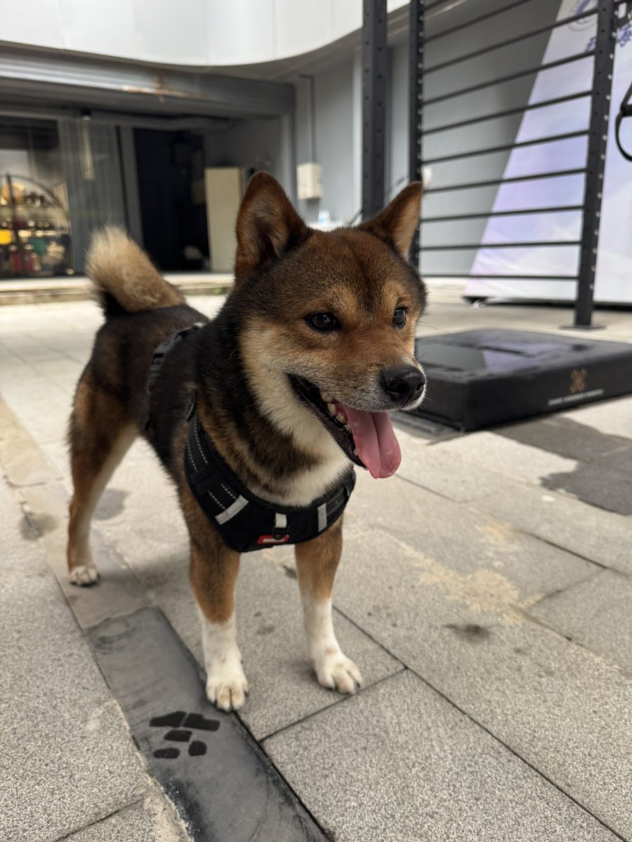 wuFeilongup's tweet photo. 痛风患者���香港的话，吃哪种药品比较多呀。有在香港的痛风患者吗 https://t.co/CX7DgiVIw9