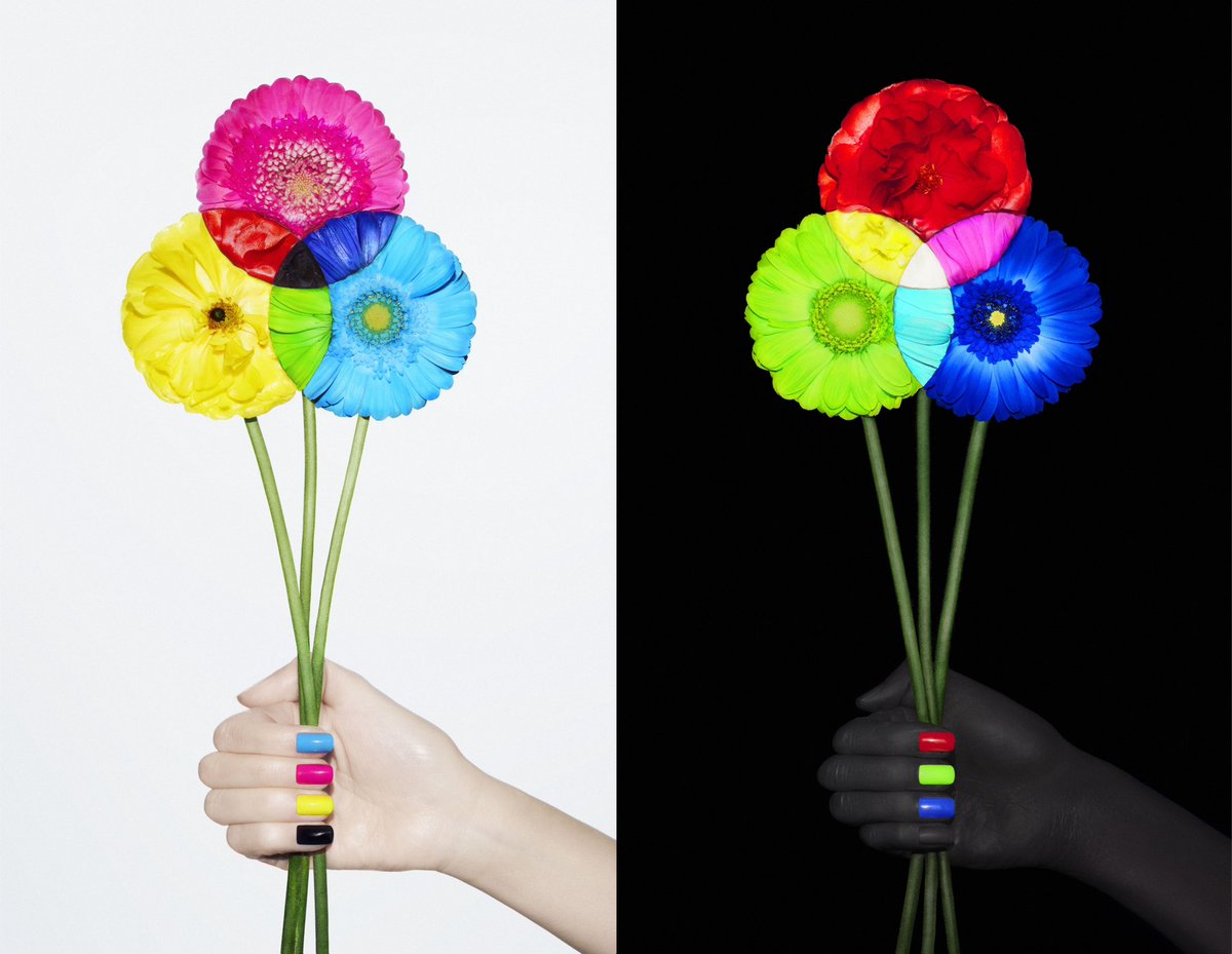 ART DIRECTION JAPAN 2024 2024年のADC年鑑の表紙を担当しました。花で