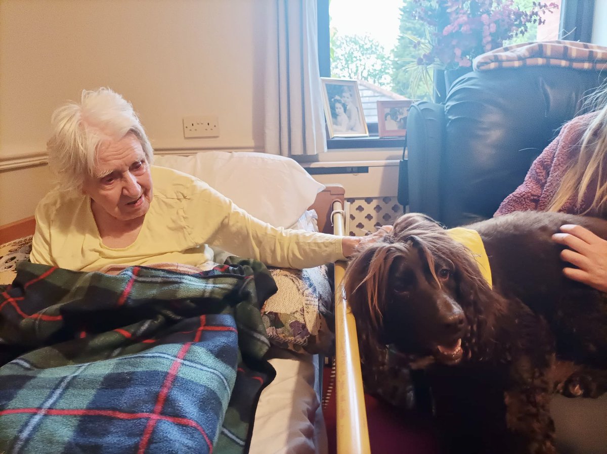 CroftCareHome's tweet photo. Over the weekend, our group was delighted to welcome not one, but two furry friends! ��

Josie’s family pet, Gus, came to say hello but ended up happily on Mary’s lap for an hour! Sara and Luna also made everyone’s day by spreading some much-loved puppy cheer! 😊

#dogs #carehome https://t.co/UDnhAN1uja