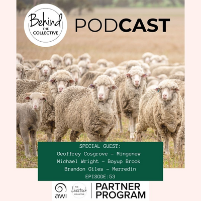 In this episode, we’re joined by three mixed farmers from Western Australia: Geoff Cosgrove from Mingenew, Michael Wright from Boyup Brook, and Brandon Giles from Merredin. Please check out our website for more of our work as part of the partner program. loom.ly/YfU83IQ