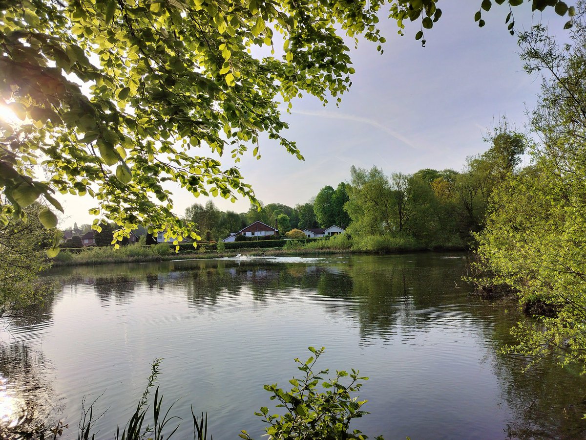 Sally Millington tweet media