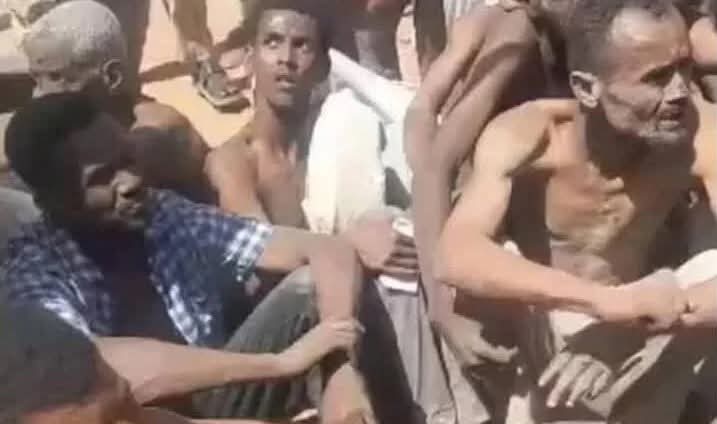 مجزرة الصالحة: جريمة جديدة في سجل انتهاكات قوات الدعم السريع الجسيمة
29 ابريل 2025
يندد المرصد السوداني لحقوق الإنسان بأشد العبارات بالمجزرة البشعة التي وقعت في منطقة الصالحة جنوب مدينة أم درمان بولاية الخرطوم، التي أسفرت عن مقتل أكثر من 31 مدنيًا.

suhrm.org/%d9%85%d8%ac%d…