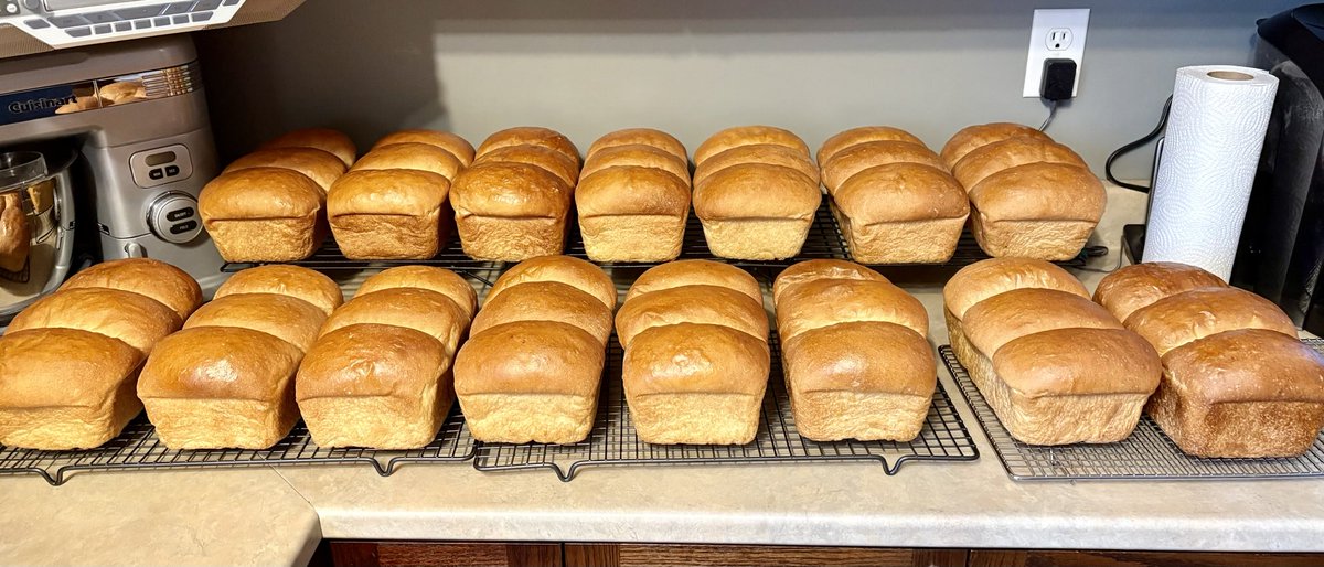 Well. At least we have bread. Oh did I mention toast. Lots of homemade toast.