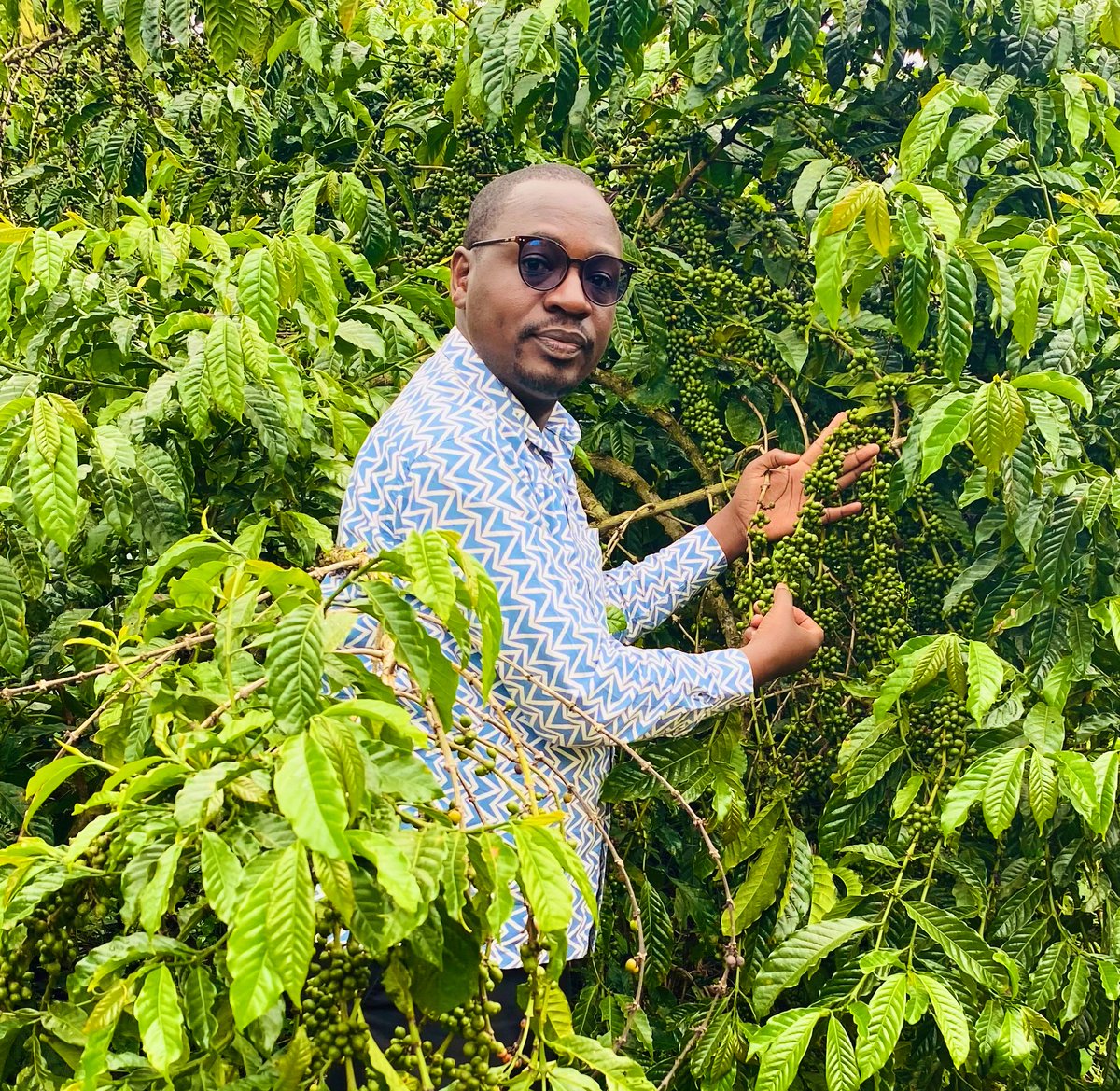 rutaraka's tweet photo. The Robusta version!

📈 Mpaka Machi 2025 Tanzania iliuza nje kahawa kiasi cha 66,566MT sawa asilimia 78.31 ya makadirio ya mauzo ya 85,000MT mwaka 2024/2025.

💰Mauzo hayo yameingiza fedha za kigeni jumla USD 307,289,917.04.

Kati ya kahawa hiyo Arabika ilikuwa 42,481.07MT na Robusta 24,085.36MT.

Pichani nikiwa shambani Kyerwa wilaya yenye uzalishaji wa juu wa Robusta nchini, vijana twende mashambani.

@WizaraKilimo @HusseinBashe @TagieDaisy @pkimaryo @mBongo @GMwangonda @MalemboLE @SpillingTheBean @coffeeboardtz