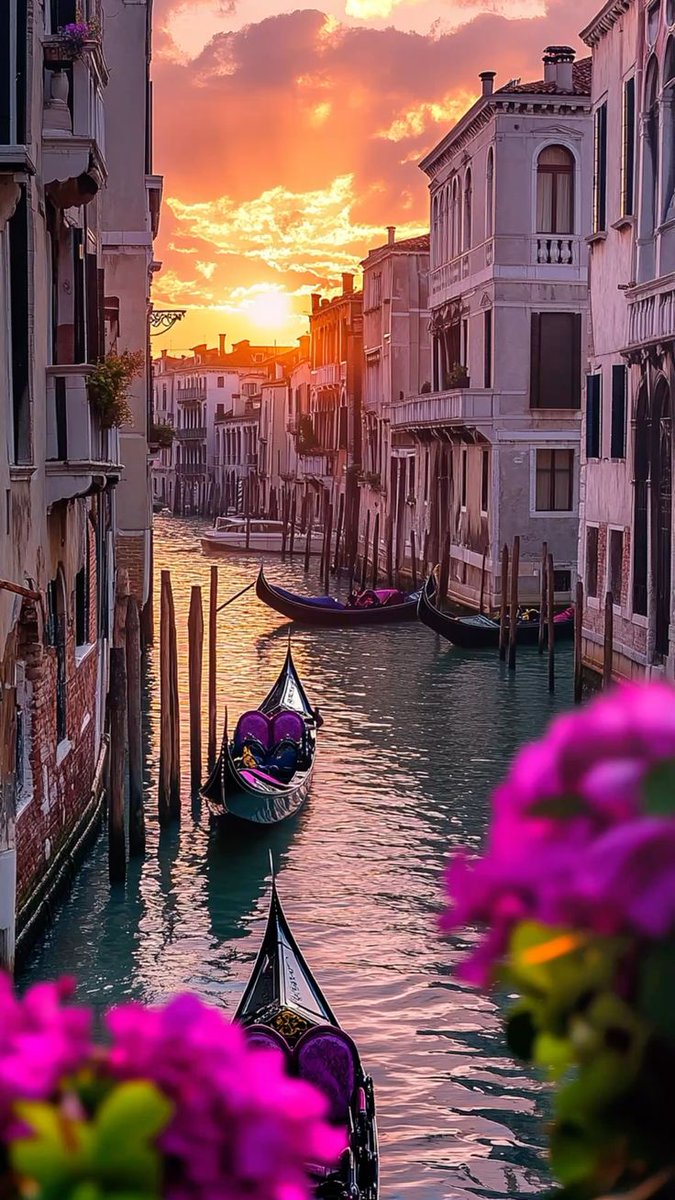 Compact cars are preferred in cities, while larger vehicles are better for road trips.