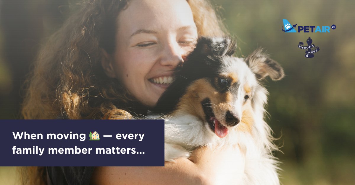 BishopsMove_'s tweet image. 🐾✈️ Moving abroad with your pet just got easier!
We’re proud to partner with @PetAirUK, trusted experts in pet travel, helping every family member move safely. ❤️

Find out more: bishopsmove.com/pet-transporta…

#BishopsMove #PetAir #PetFriendlyMove #NationalPetMonth
