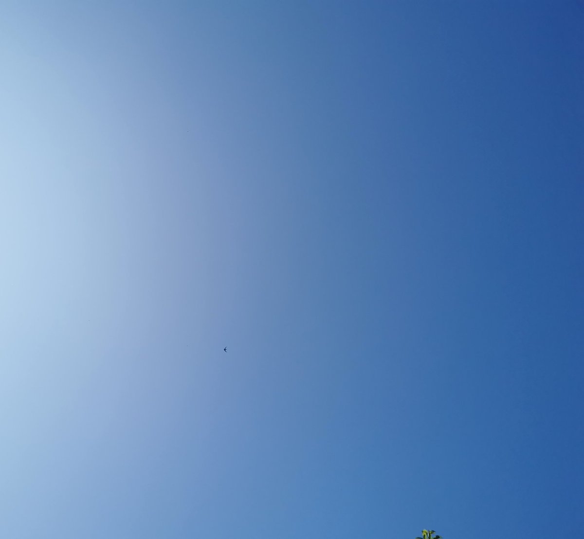 Ben Donaldson tweet media