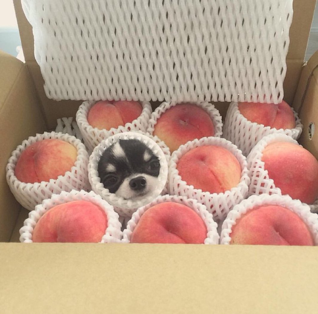 シッ！静かに！俺だ！助けにきた！