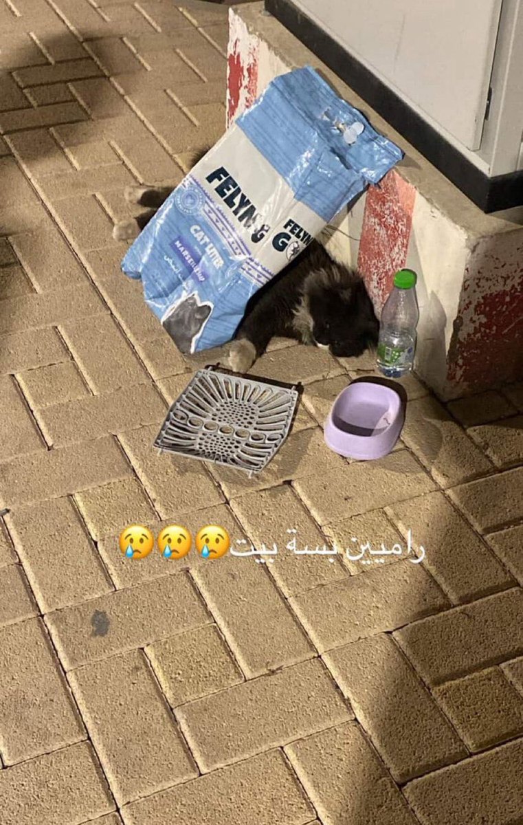 هيلة الروقي (قلب الرحمة) tweet media