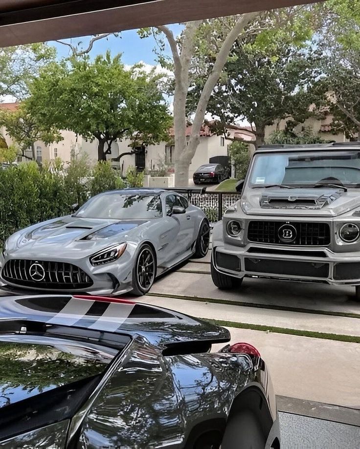 High-performance sports cars often have dual exhaust systems.