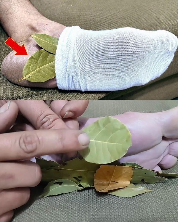 ononoherbals's tweet image. Keep some BAY LEAVES under your stockings at night to protect from cold and negative energy!