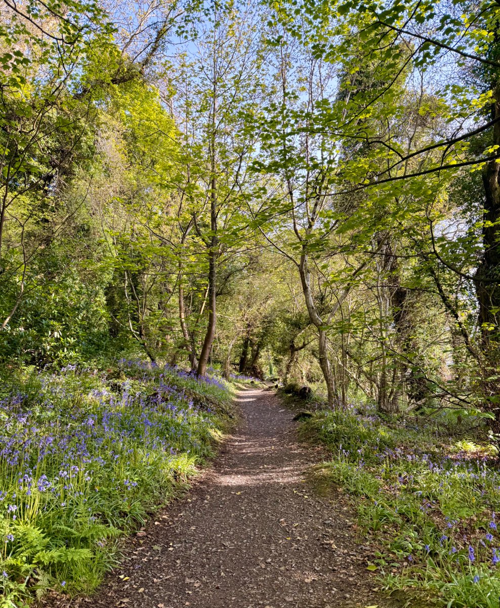 Perfect first holiday — in Northern Ireland 🤩
