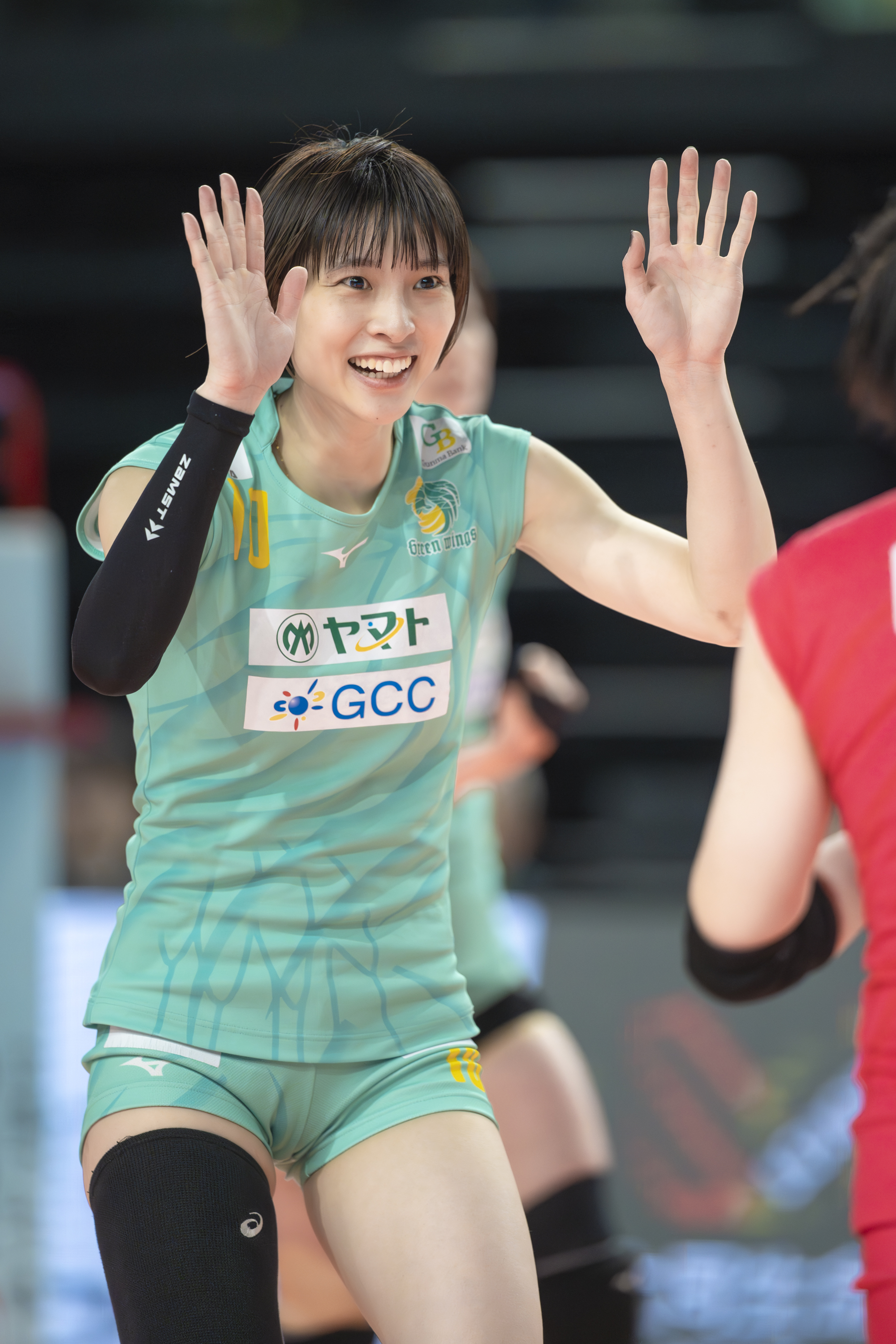 白岩蘭奈選手　応援Tシャツ未開封未使用 白岩蘭奈選手 応援Tシャツ未開封未使用 白岩蘭奈」のアイデア 15