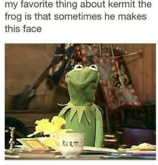 HeatherWeidner1's tweet image. Yes! #Kermit #Thatface
