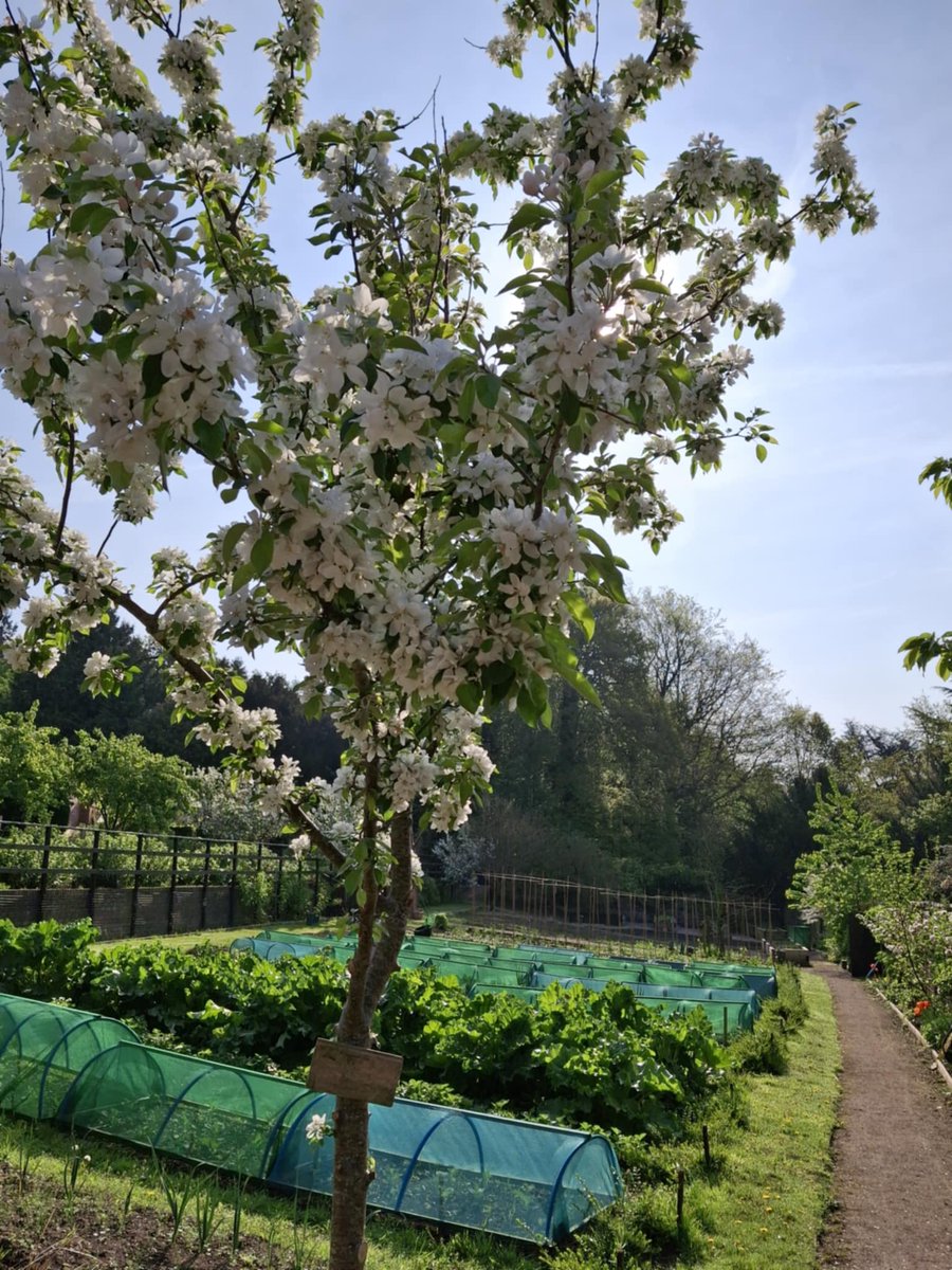 Erlas Victorian Walled is open Monday to Friday 9-3pm. There are plants, crafts, fruits and vegetables on sale, including leeks, asparagus and rhubarb. Enjoy a refreshment and enjoy the magnificent views. Entrance is free and we have free parking on site.