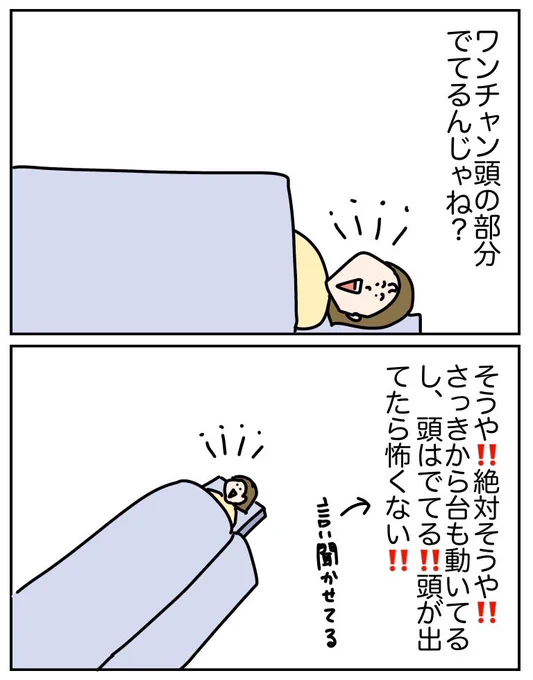 (3/11) 