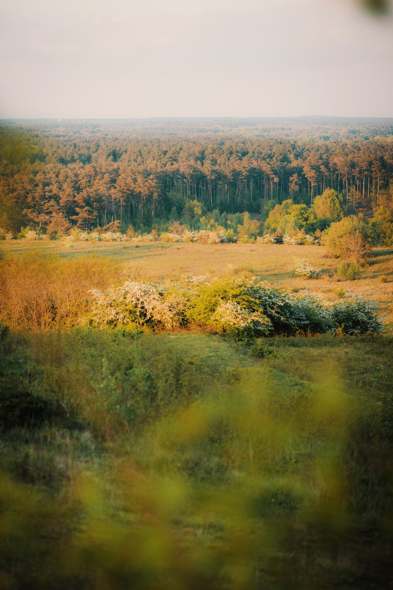 Backyard views. #beringen #vrtweer #Landscapes