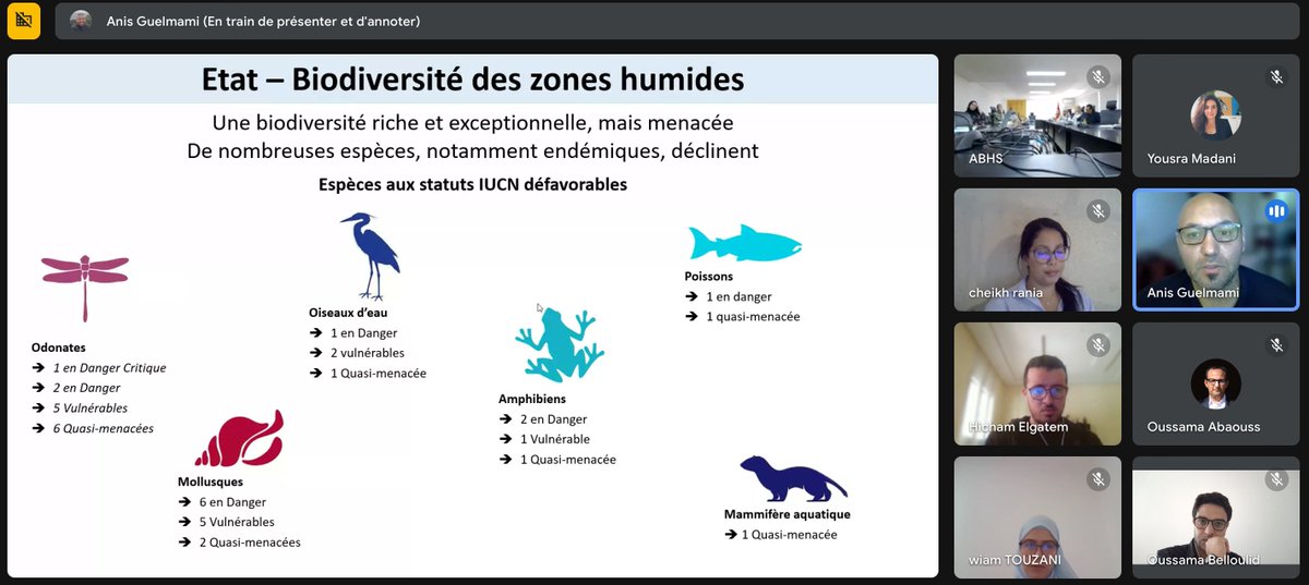 🌍 2nd #Sebou Living Lab held online with <a href="/LPM_Morocco/">Living Planet Morocco</a> , <a href="/TourduValat/">Tour du valat</a> &amp; ABHS to co-design NbS for wetland resilience &amp; better water governance.
🔗ourmed.eu/index.php/diss…
#OurMED #LivingLab #Water