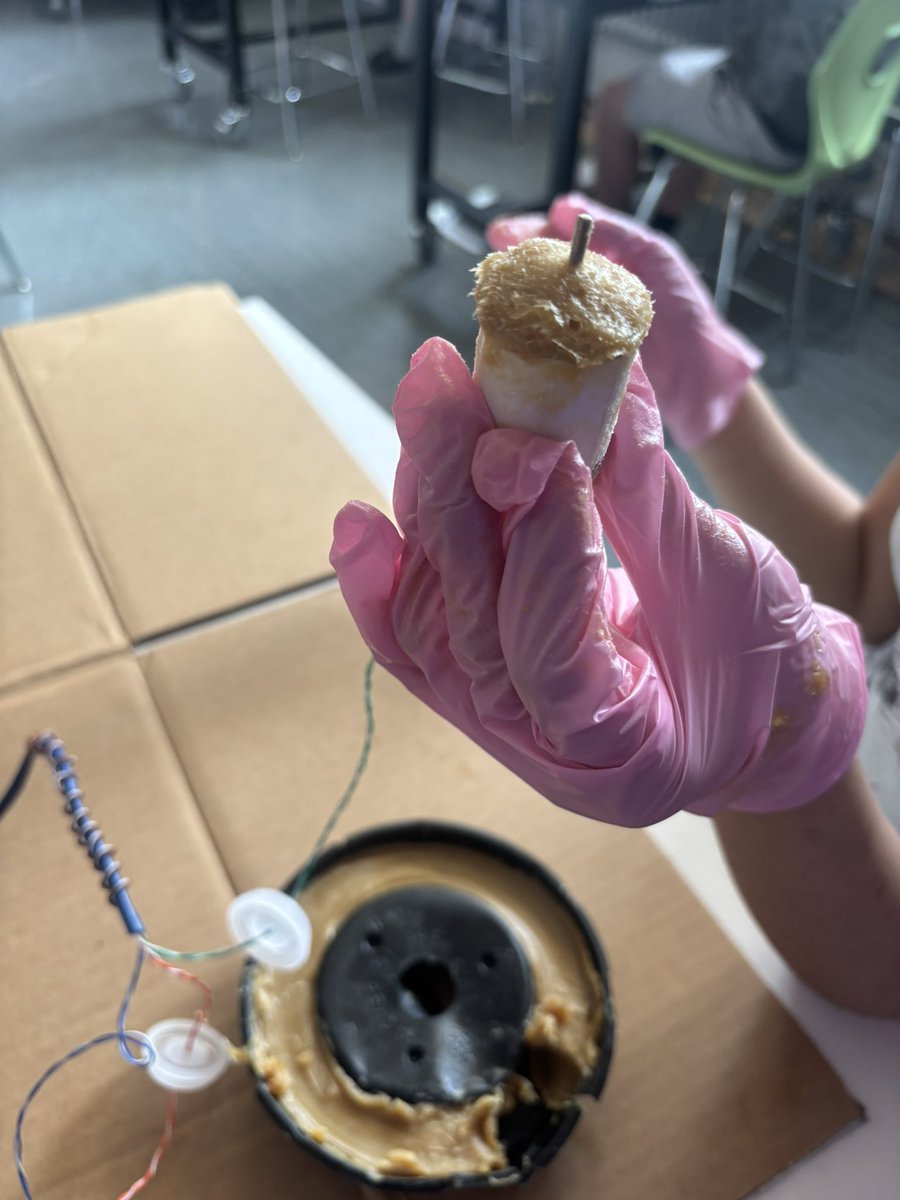 I love a day we get to play with TOILET  BOWL WAX in school!!! Waterproofing our motos for our underwater ROVs is so much fun!!!