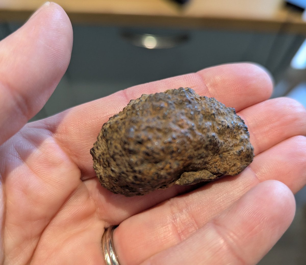 I found two of these in a field while doing some bird surveys - metal like stone. Are there any clever geologists out there who know what it is? (I'm hoping for a meteorite!) <a href="/NHM_London/">Natural History Museum</a> <a href="/BritGeoSurvey/">British Geological Survey</a>