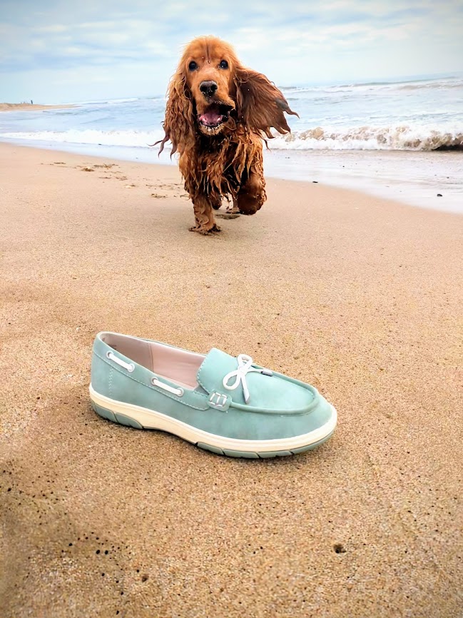 CalcatsPonsa's tweet photo. L'elecció perfecta per a la primavera!🌸💚👌
#calçatsponsà #nautics #casualnautical #newcollectıon #w25 #thebestofspring #colorfulspring #relaxinstyle #goodvalueformoney #dresscsual #keytrends #veganapproved #relaxedday☀️ @shoes_ponsa https://t.co/Li3SKkQ0R8