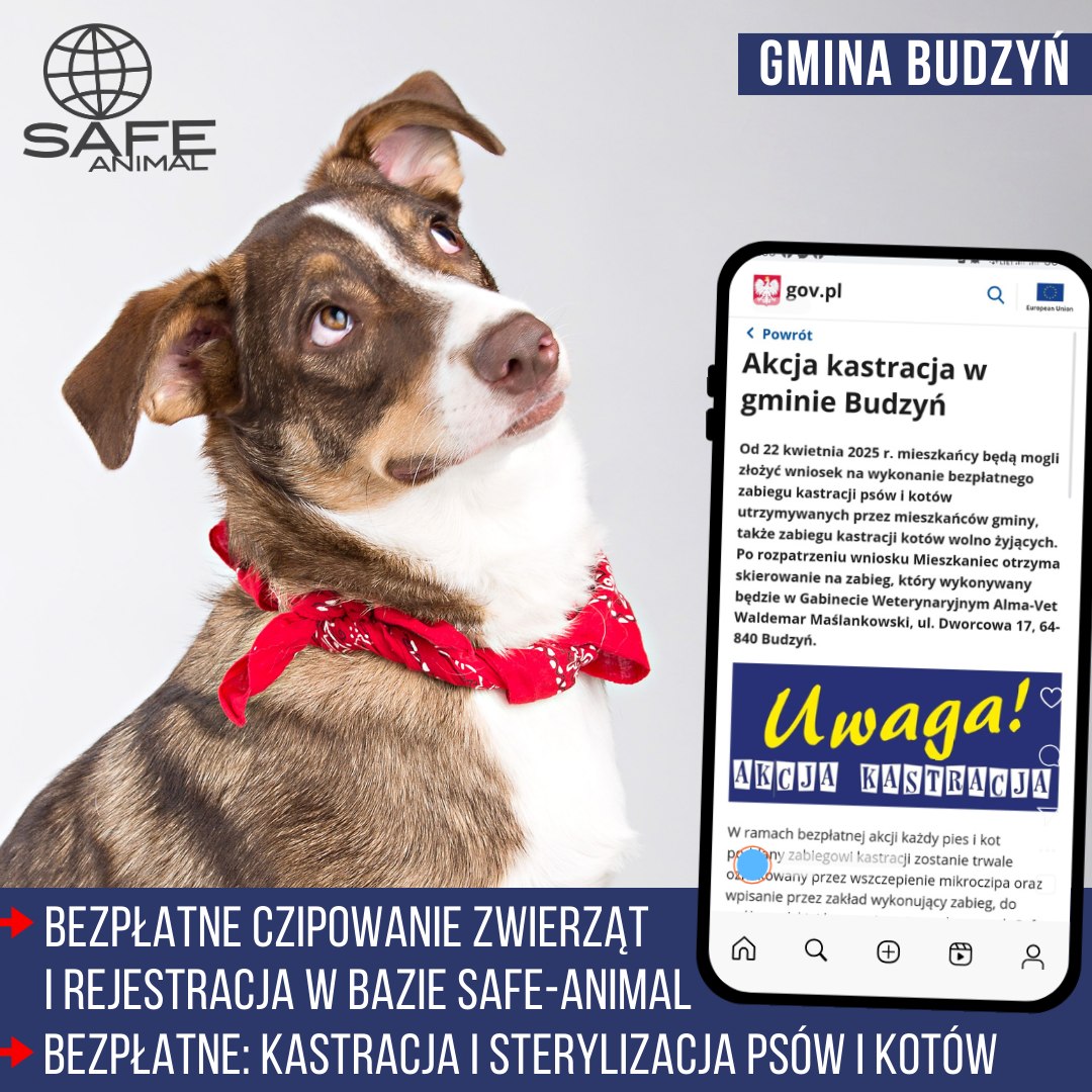 Bezpłatne umożliwienie dostępu do #SAFEANIMAL uskutecznia realizację programów walki z bezdomnością wśród zwierząt na terenie różnych gmin. Gmina #Budzyń jest kolejną, która realizuje taki program. Szczegóły: samorzad.gov.pl/web/gmina-budz… 
<a href="/wuw_poznan/">Wielkopolski Urząd Wojewódzki w Poznaniu</a> <a href="/szymon_holownia/">Szymon Hołownia</a> <a href="/trzaskowski_/">Rafał Trzaskowski</a>